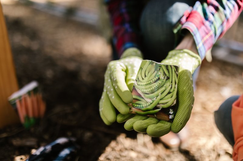 Quality control testing of seed germination